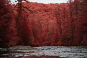 Autumn in Northern Georgia